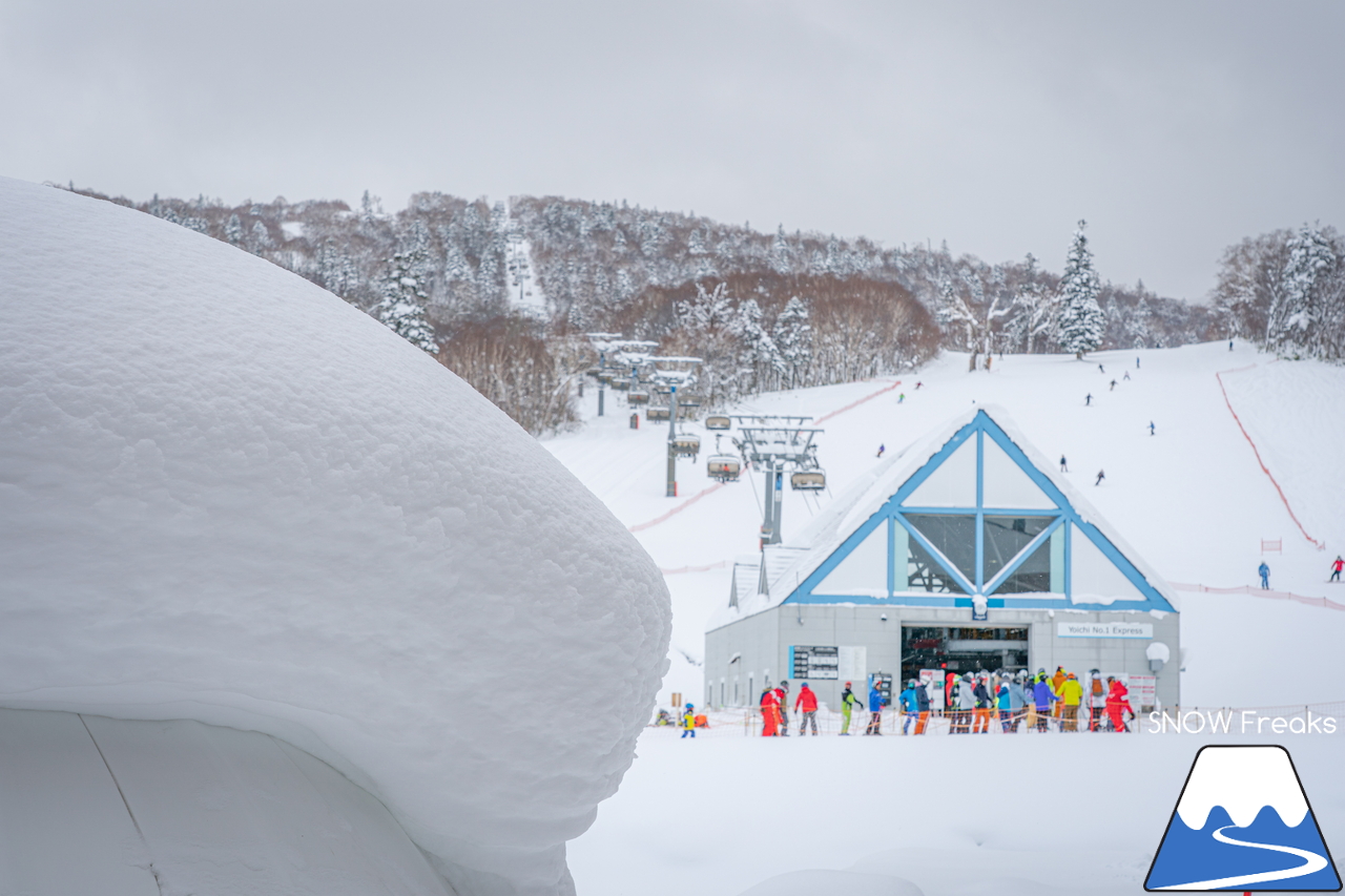 キロロリゾート｜ただいま北海道内最深の積雪160cm。午後のゲレンデで快適粉雪クルージング！